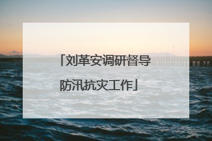 刘革安调研督导防汛抗灾工作