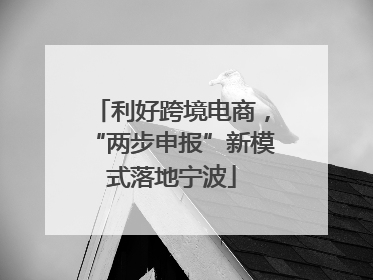 利好跨境电商，“两步申报”新模式落地宁波