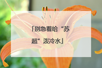 别急着给“苏超”泼冷水