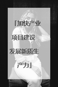 加快产业项目建设 发展新质生产力