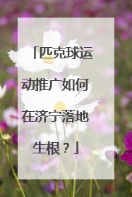 匹克球运动推广如何在济宁落地生根？