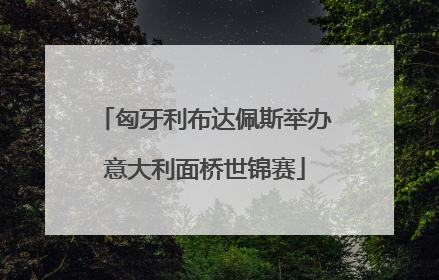 匈牙利布达佩斯举办意大利面桥世锦赛