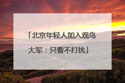 北京年轻人加入观鸟大军：只看不打扰