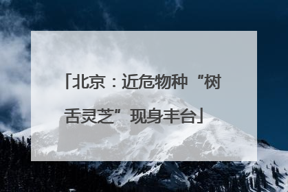 北京：近危物种“树舌灵芝”现身丰台