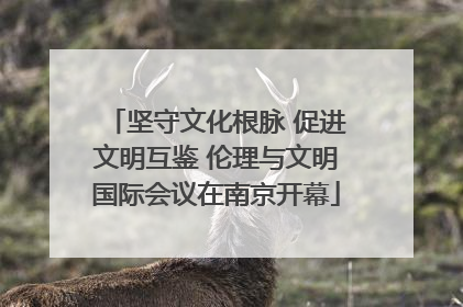 坚守文化根脉 促进文明互鉴 伦理与文明国际会议在南京开幕
