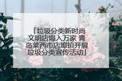 垃圾分类新时尚 文明店埠入万家 青岛莱西市店埠镇开展垃圾分类宣传活动