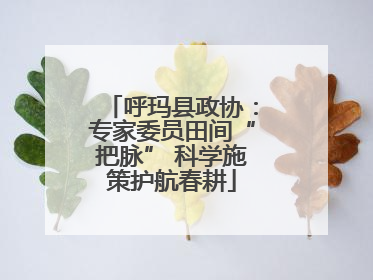 呼玛县政协：专家委员田间“把脉” 科学施策护航春耕