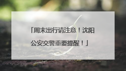 周末出行请注意！沈阳公安交警重要提醒！