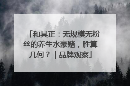 和其正：无规模无粉丝的养生水豪赌，胜算几何？｜品牌观察