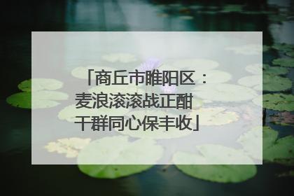 商丘市睢阳区：麦浪滚滚战正酣 干群同心保丰收
