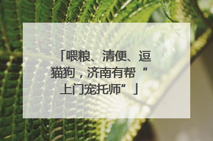 喂粮、清便、逗猫狗，济南有帮“上门宠托师”