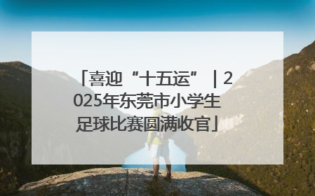 喜迎“十五运”｜2025年东莞市小学生足球比赛圆满收官