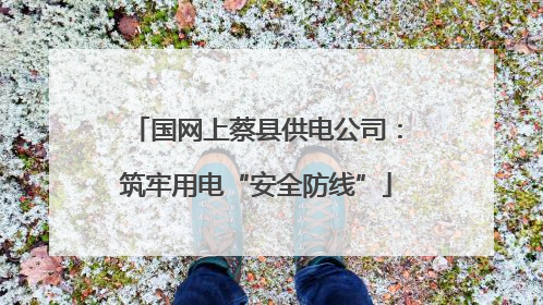 国网上蔡县供电公司：筑牢用电“安全防线”