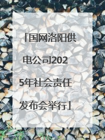 国网洛阳供电公司2025年社会责任发布会举行