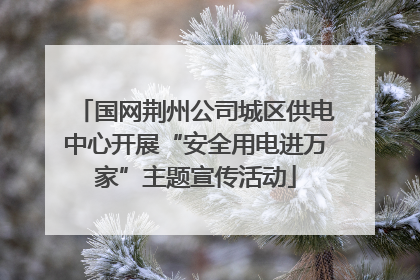 国网荆州公司城区供电中心开展“安全用电进万家”主题宣传活动