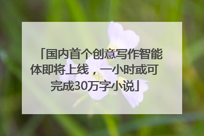 国内首个创意写作智能体即将上线，一小时或可完成30万字小说