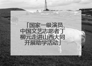 国家一级演员、中国文艺志愿者丁柳元走进山西大同开展助学活动