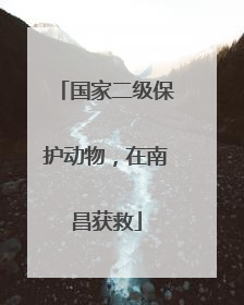国家二级保护动物，在南昌获救