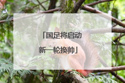 国足将启动新一轮换帅