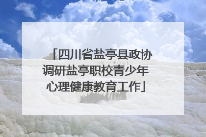 四川省盐亭县政协调研盐亭职校青少年心理健康教育工作