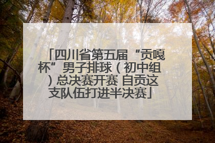 四川省第五届“贡嘎杯”男子排球（初中组）总决赛开赛 自贡这支队伍打进半决赛