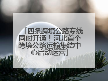 四条跨境公路专线同时开通！河北首个跨境公路运输集结中心启动运营