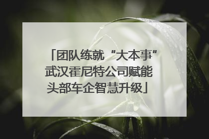 团队练就“大本事” 武汉霍尼特公司赋能头部车企智慧升级