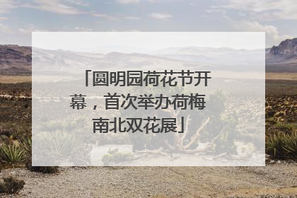 圆明园荷花节开幕，首次举办荷梅南北双花展