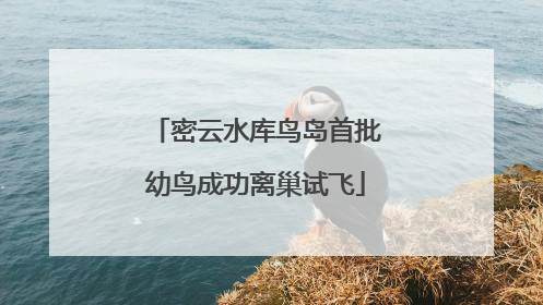 密云水库鸟岛首批幼鸟成功离巢试飞