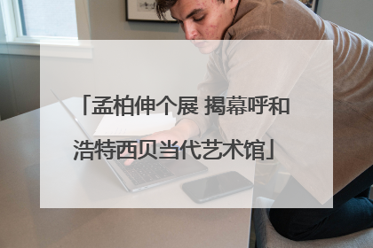 孟柏伸个展 揭幕呼和浩特西贝当代艺术馆