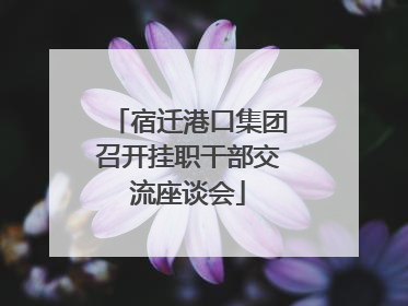 宿迁港口集团召开挂职干部交流座谈会