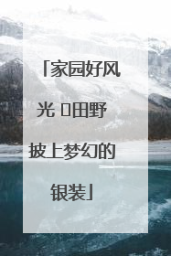 家园好风光 ⎮田野披上梦幻的银装