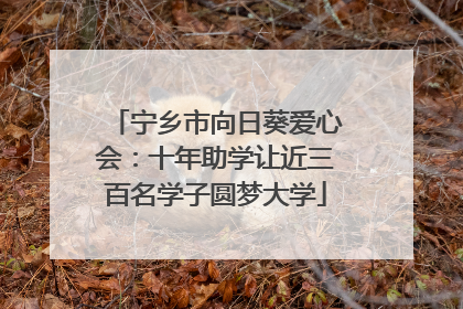 宁乡市向日葵爱心会：十年助学让近三百名学子圆梦大学