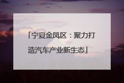 宁夏金凤区：聚力打造汽车产业新生态
