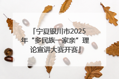 宁夏银川市2025年“多民族一家亲”理论宣讲大赛开赛