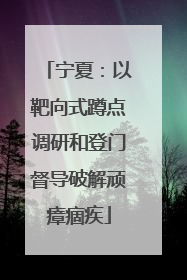 宁夏：以靶向式蹲点调研和登门督导破解顽瘴痼疾