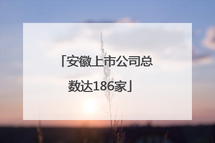 安徽上市公司总数达186家