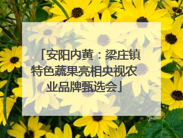 安阳内黄：梁庄镇特色蔬果亮相央视农业品牌甄选会