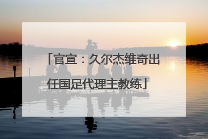 官宣：久尔杰维奇出任国足代理主教练