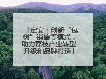 定安：创新“包树”销售等模式，助力荔枝产业转型升级和品牌打造