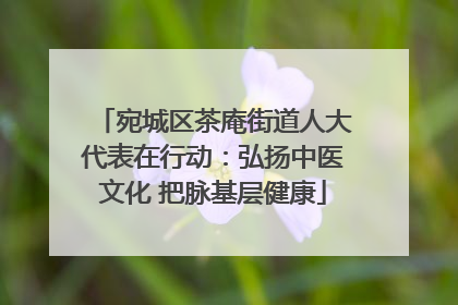 宛城区茶庵街道人大代表在行动：弘扬中医文化 把脉基层健康