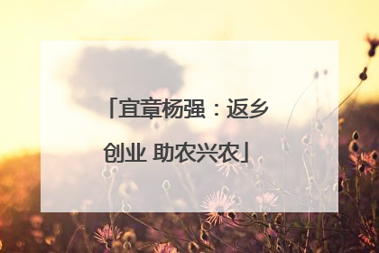 宜章杨强：返乡创业 助农兴农