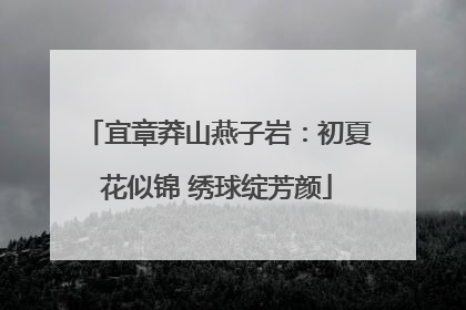 宜章莽山燕子岩：初夏花似锦 绣球绽芳颜