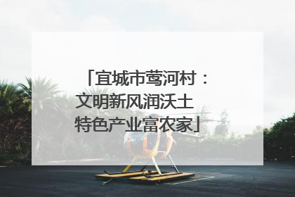 宜城市莺河村：文明新风润沃土 特色产业富农家