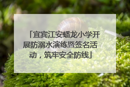 宜宾江安蟠龙小学开展防溺水演练暨签名活动，筑牢安全防线