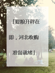 夏粮开秤在即，河北收购准备就绪