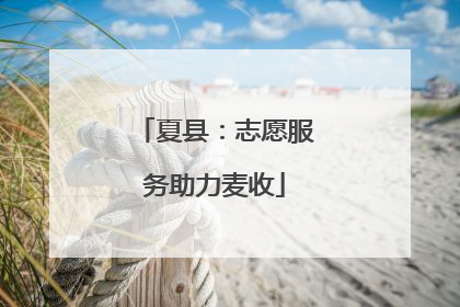 夏县：志愿服务助力麦收