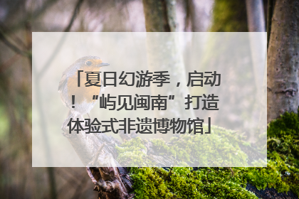 夏日幻游季，启动！“屿见闽南”打造体验式非遗博物馆