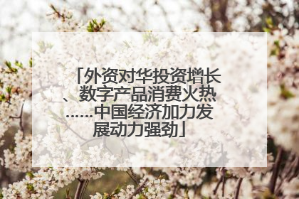 外资对华投资增长、数字产品消费火热……中国经济加力发展动力强劲
