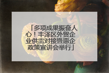 多项成果振奋人心！丰泽区外贸企业供需对接暨惠企政策宣讲会举行